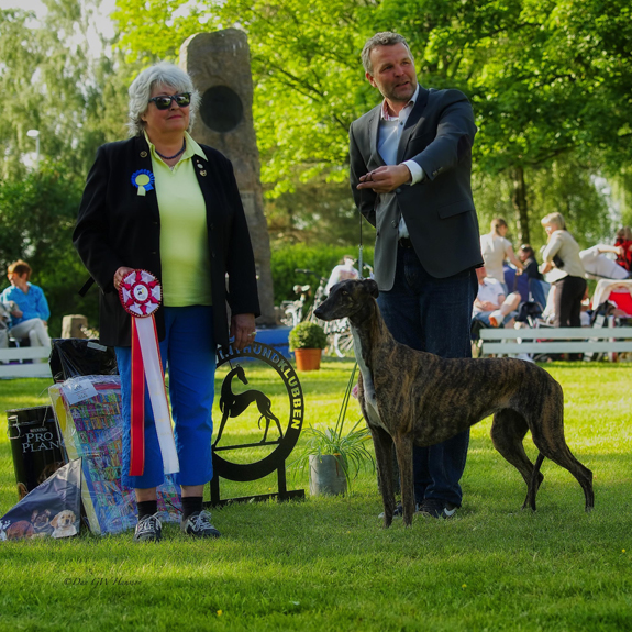 BEST IN SHOW Ch Epic Juicy