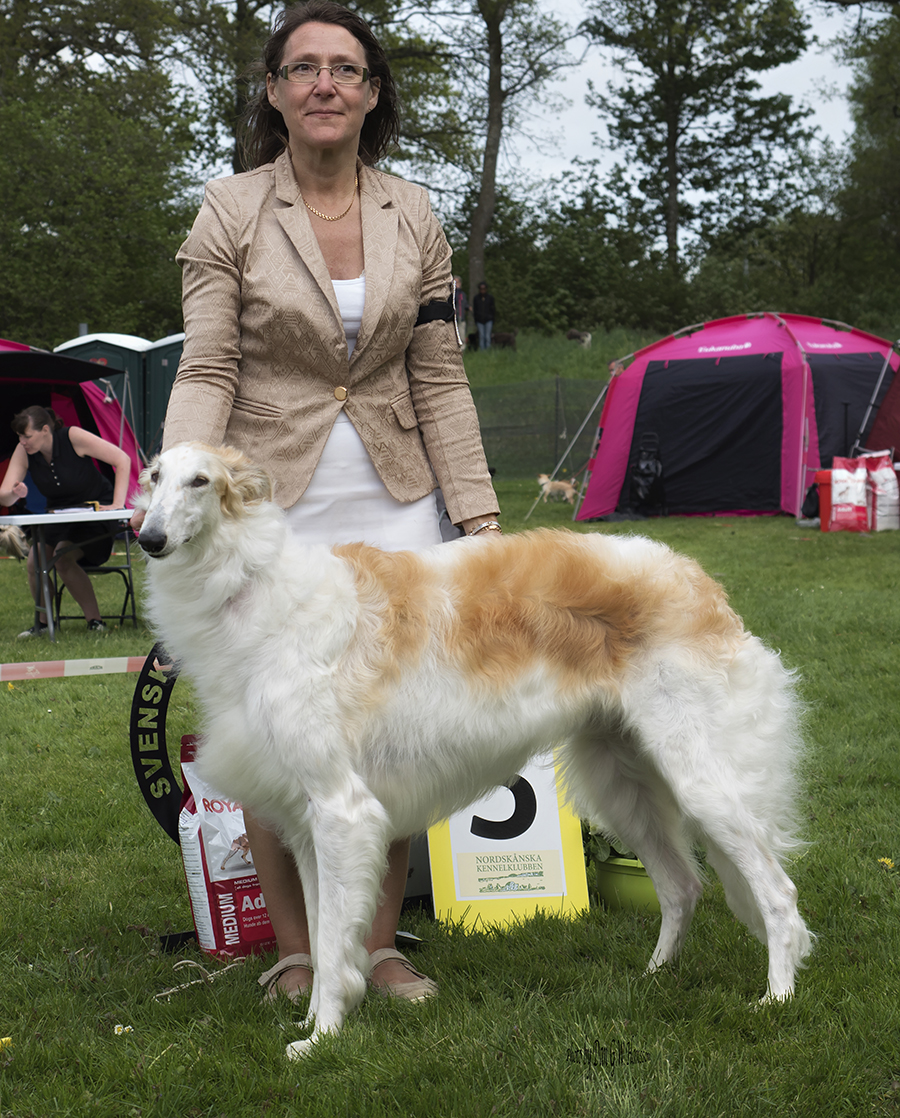 BEST IN SHOW-3 Borscana Chandelle