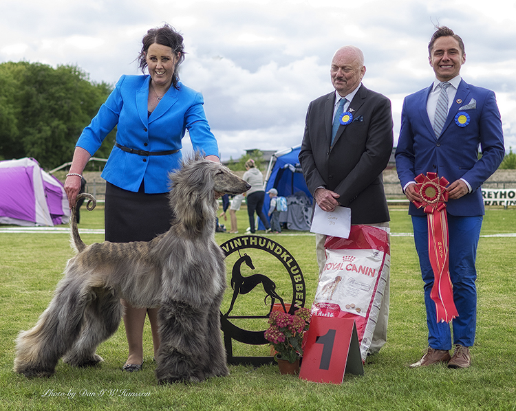 BEST IN SHOW Agha Djari’s Kiss’n Tell