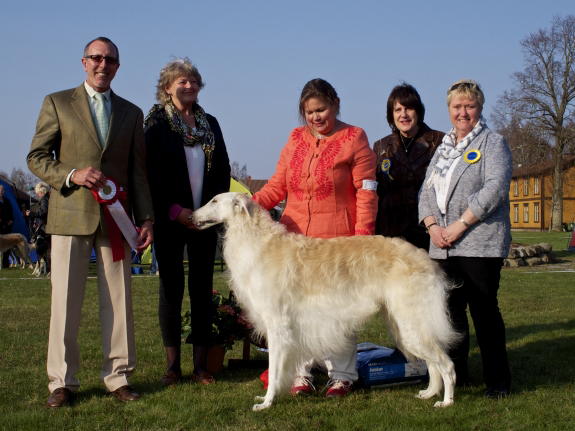 BEST IN SHOW C.I.B DK UCH FI UCH GB CH NORD JV-07 SE&NO UCH Borzowski's Phenomenon