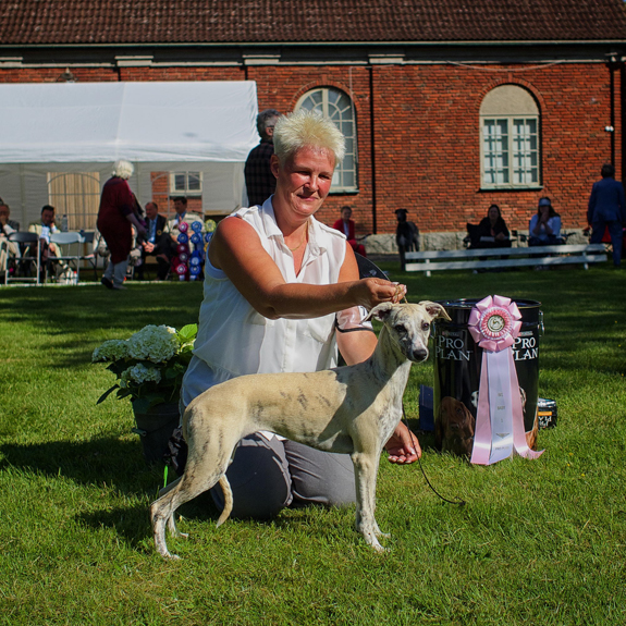 BEST IN SHOW BABY Tappinskis Target For Love